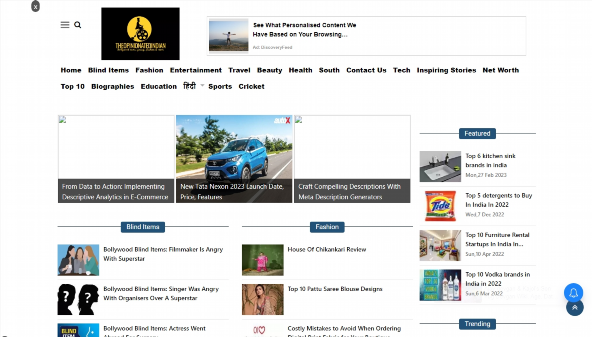 theopinionatedindian.com