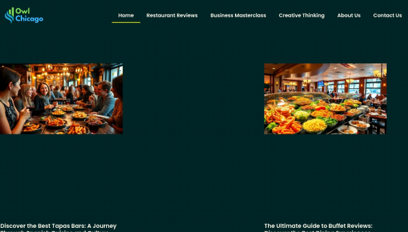theowlchicago.com