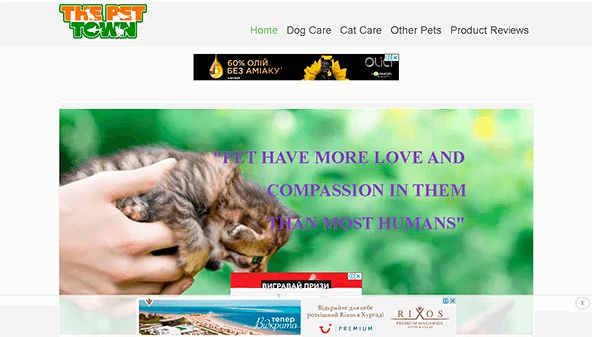 Naminių gyvūnėlių miestelis (thepettown.com)