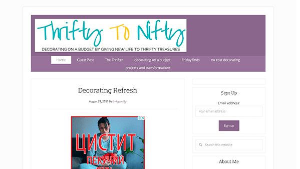 Thrifty to Nifty (thriftytonifty.com)