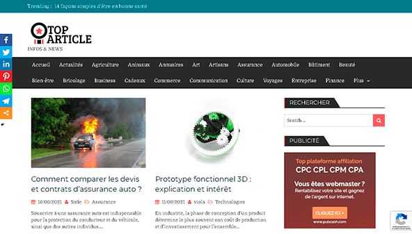 Toppartikel (toparticle.biz)