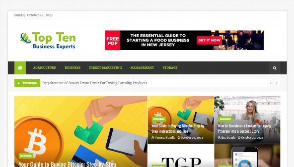 toptenbusinessexperts.com