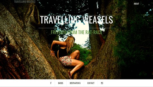 Doninhas-pescadoras itinerantes (travellingweasels.com)
