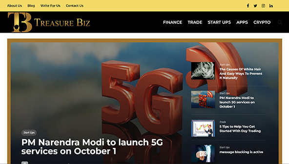 treasurebiz.com