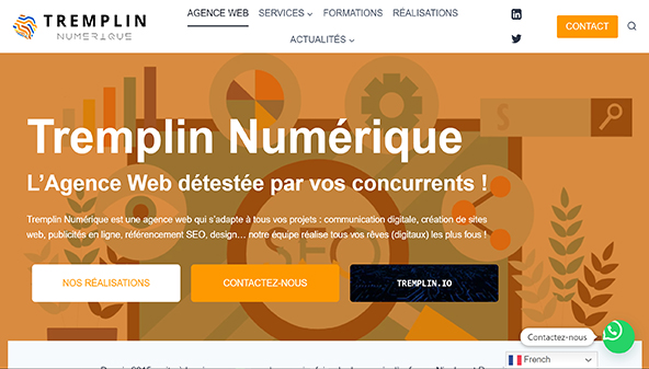 Digitales Sprungbrett (tremplin-numerique.org)