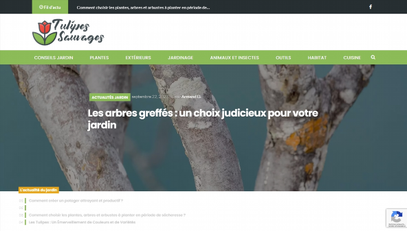 tulipessauvages.org