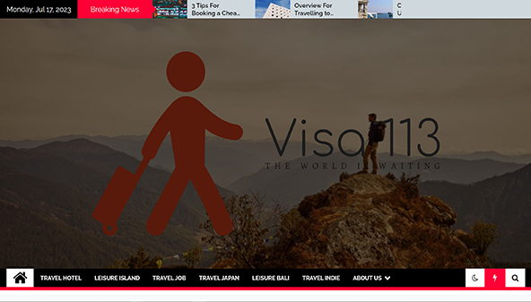 visa113.com