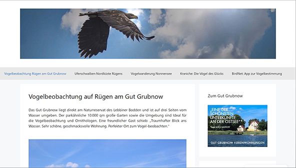 vogelbeobachtung-ruegen.de