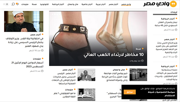 wadymasr.com