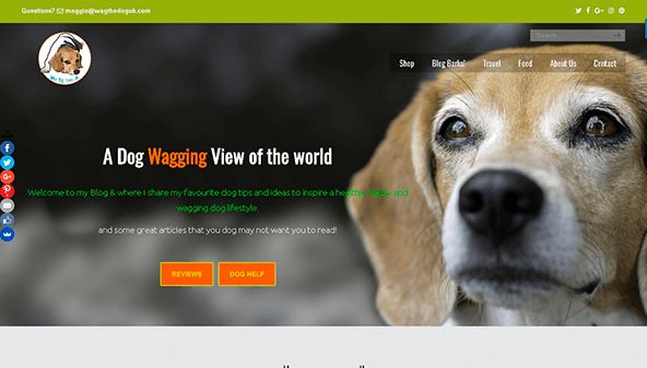 Wag the dog UK (wagthedoguk.com)