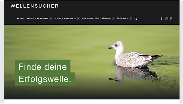 Buscador de olas (wellensucher.de)