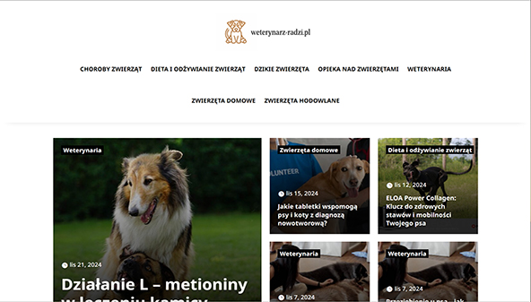 weterynarz-radzi.pl