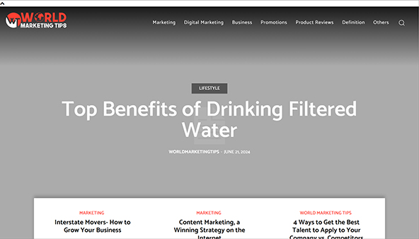 worldmarketingtips.com