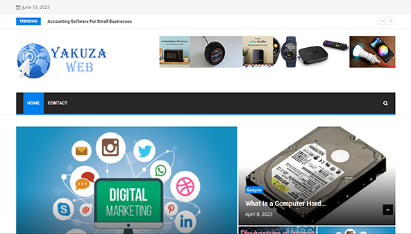 Yakuza web (yakuzaweb.com)