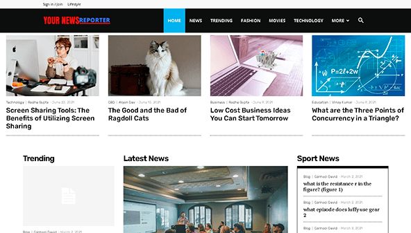 Din nyhetsreporter (yournewsreporter.com)