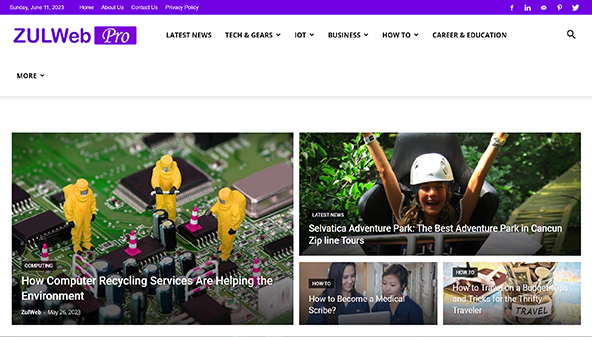 zulweb.com