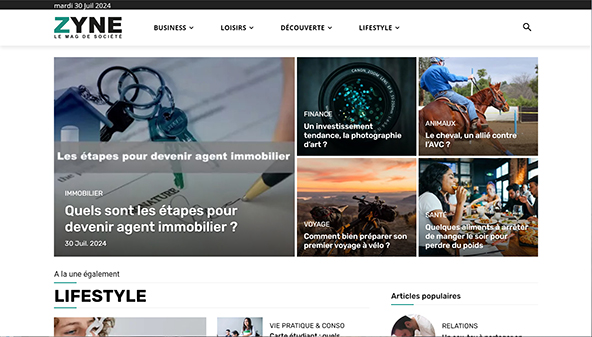 zyne.fr